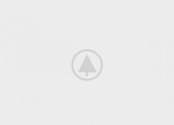 wood-gallery-placeholder-5